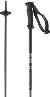 Salomon Arctic Aluminum Ski Poles, Unisex, Intermediate to Advanced Skiers, Multiple Colors Available