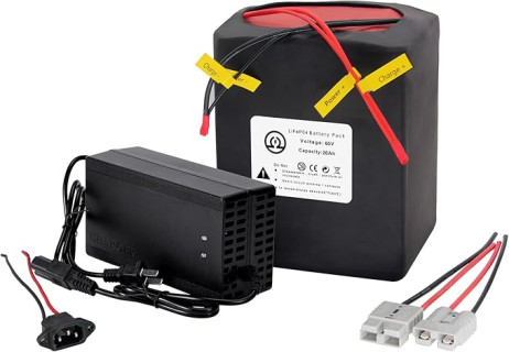 36V 48V 52V 60V 72V Ebike Battery 10AH 20AH 30AH 40AH 50AH 60AH LiFePO4/Lithium Ion Battery Pack with 2A 3A 5A Charger and 20A 40A 50A 80A BMS for 250W 550W 750W 1000W-5500W Motor