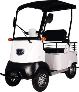 Electric Golf Carts, 4 Wheel Courtesy Car for Seniors with Storage Box, Farm Load Truck for Seniors and Adults Comes, Heavy Duty Golf Cart
