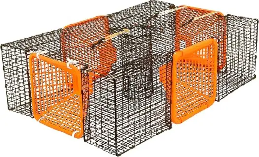 Protoco - ST4SP - 9” x 19” x 24” (½” x 1” Mesh) Shrimp and Crawfish Trap, Freshwater & Saltwater Cage Style Fishing Trap for Crawfish, Crayfish, Crawdads, Shrimp - Black/Orange