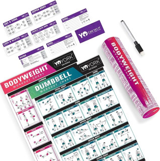 YoYork Workout Posters for Stretching - Laminated Home Gym Workout Poster with 10 Workout Cards for Full Body Stretching Exercise - 17