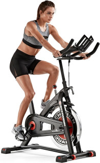 Schwinn IC Bike Series