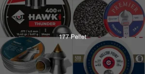 Photo of 177 Pellet
