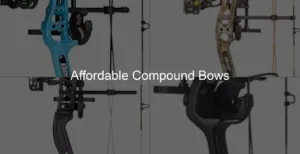 Photo of Affordable Compound Bows