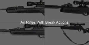 Photo of Air Rifles With Break Actions