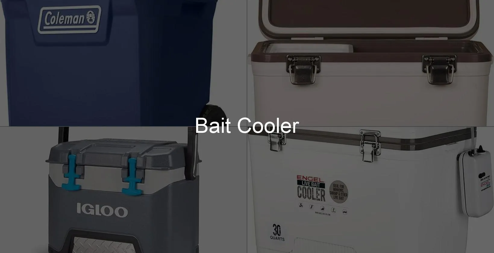 Photo of Bait Cooler