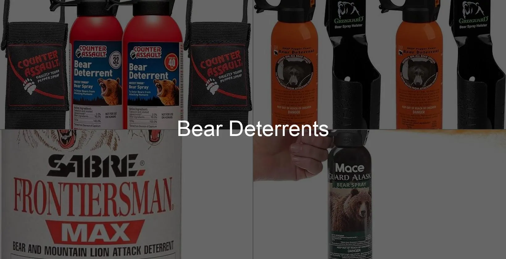 Photo of Bear Deterrents