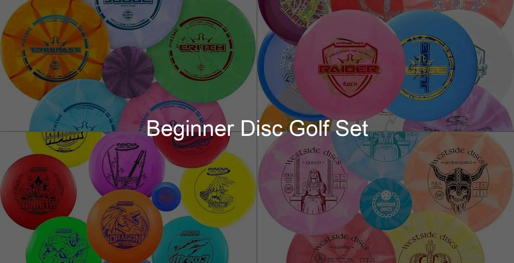 Photo of Beginner Disc Golf Set