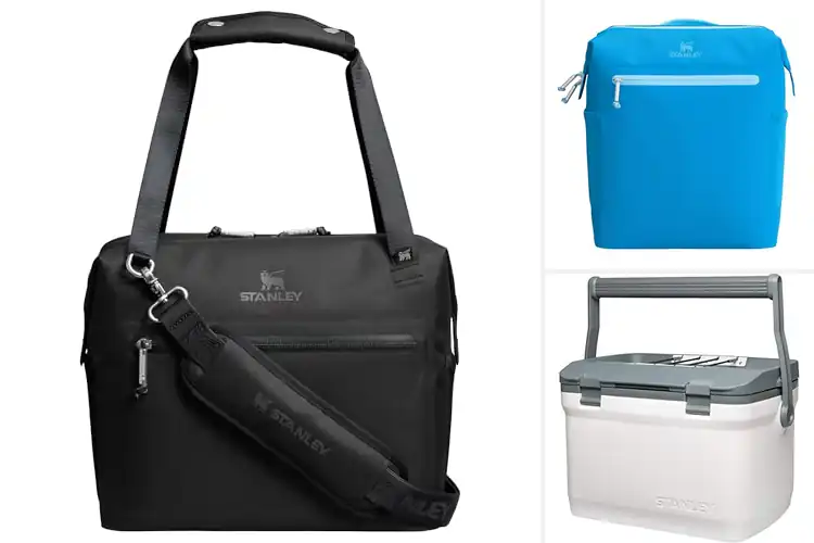 Detailed view of 10 Best BPA Free Coolers – Stay Ice Cold All Day