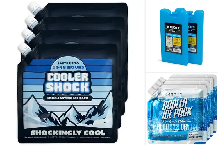 Detailed view of 10 Best Camping Ice Packs: Stay Cool Outdoors