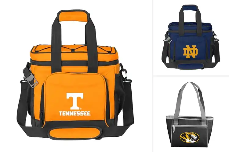 Detailed view of 5 Best Cool Coolers Brands: Keep Drinks Ice Cold