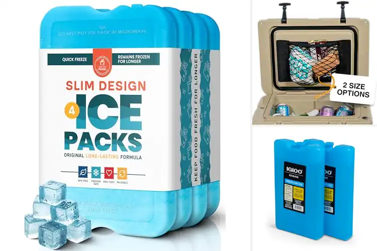 Detailed view of 10 Best Cooler Accessories for Fresh Food Anywhere