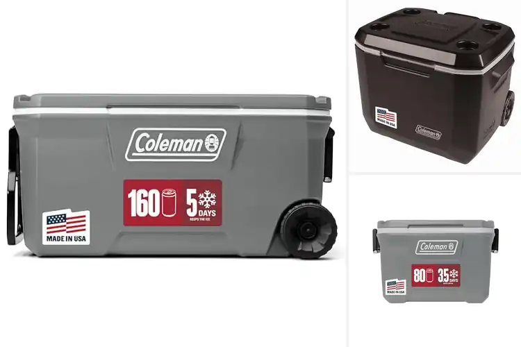 Detailed view of Best Coolers: Ice That Lasts, Rolls Anywhere