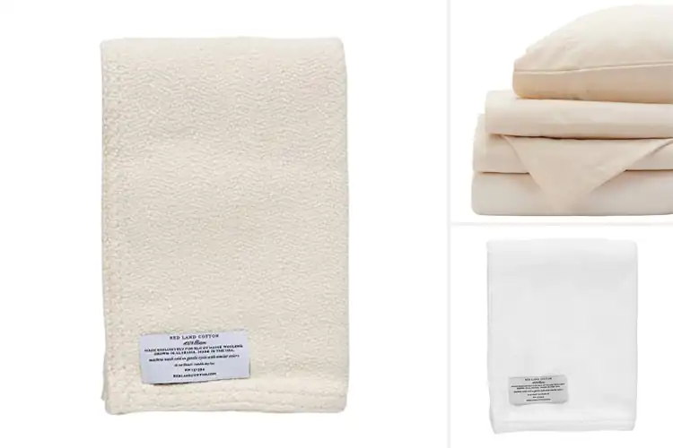 Detailed view of Best Cotton From American Farms