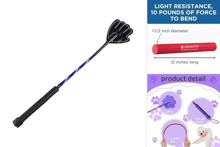 Detailed view of Best Flexible Training Tools