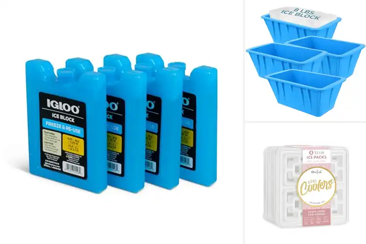 Detailed view of Best Four Pack Ice Blocks