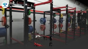 Best Gyms in Alamo, TX for Every Fitness Journey