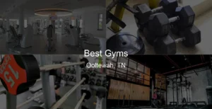 Best Gyms in Ooltewah, TN Photo