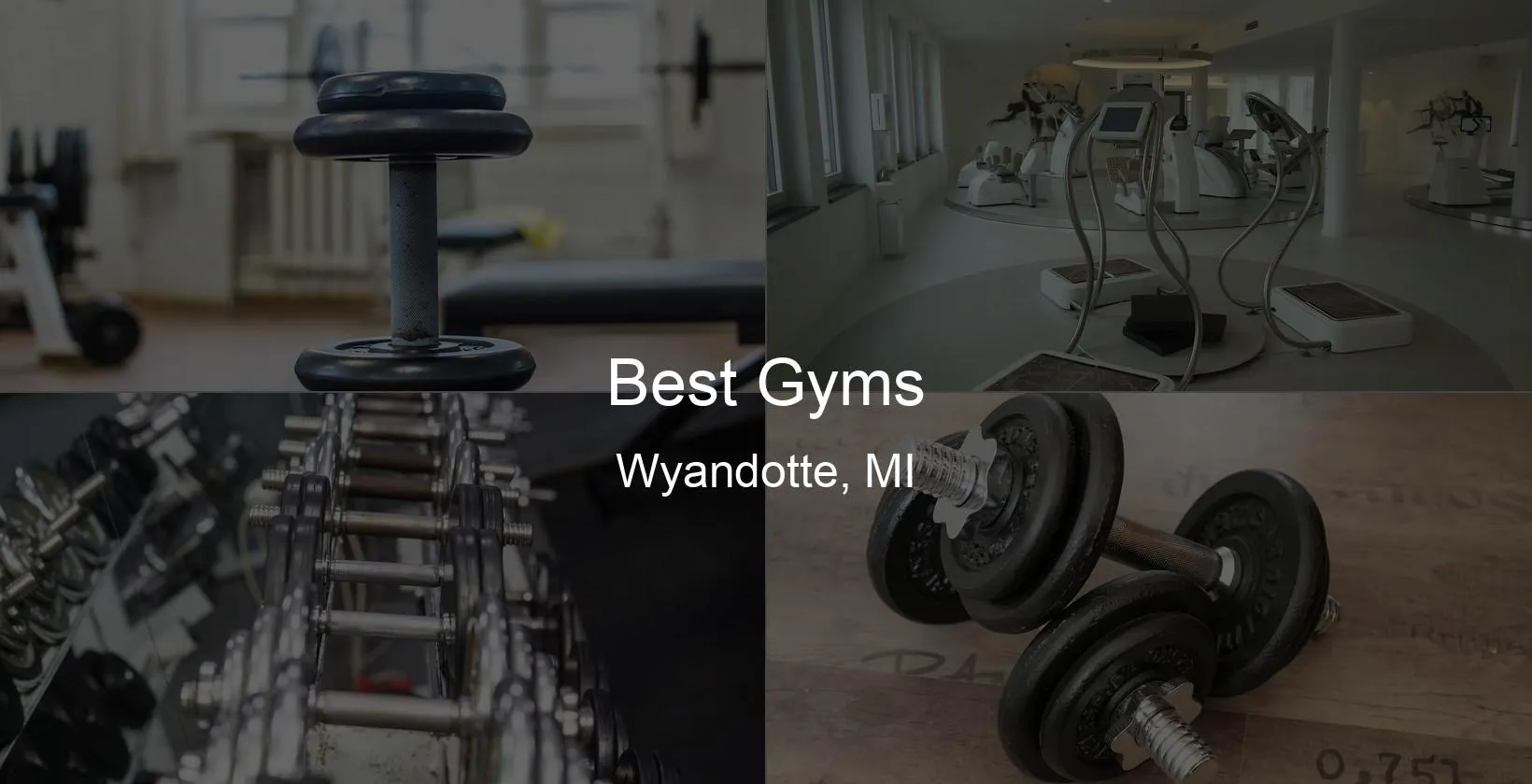 Best Gyms in Wyandotte, MI Photo