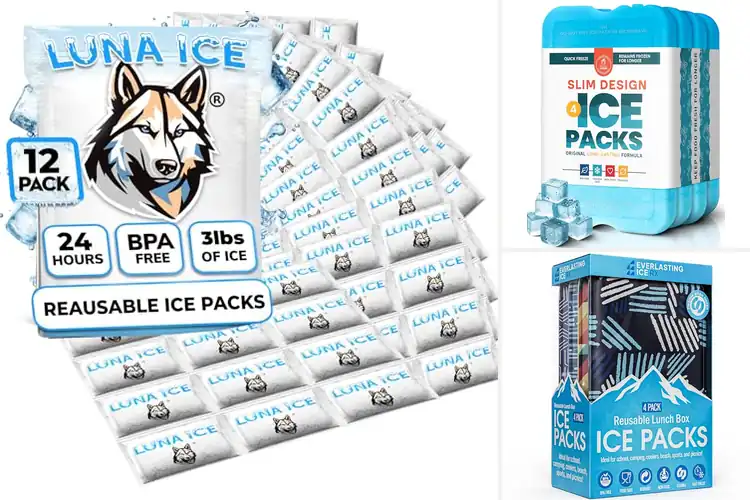 Detailed view of Best Ice Packs for Food Preservation