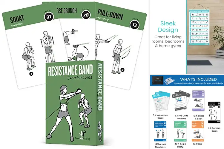 Detailed view of Best Illustrated Guide For Band Exercises