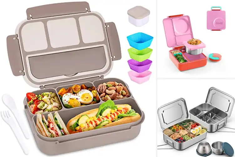 Detailed view of Best Lunch Boxes