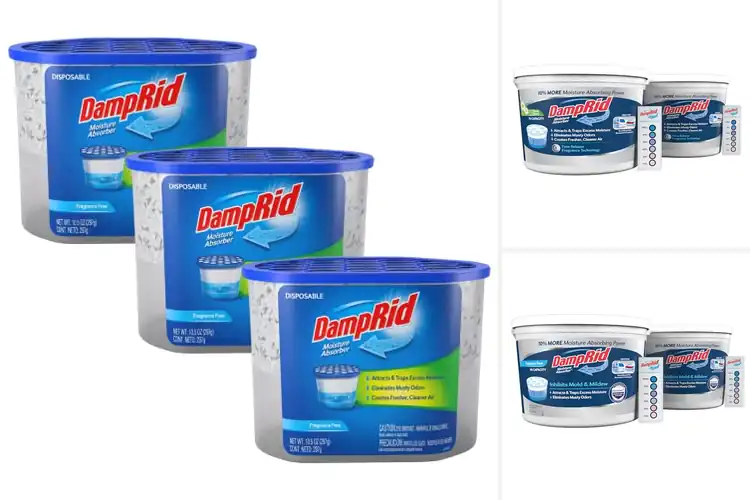 Detailed view of 10 Best Moisture Absorbers to Eliminate Dampness Fast