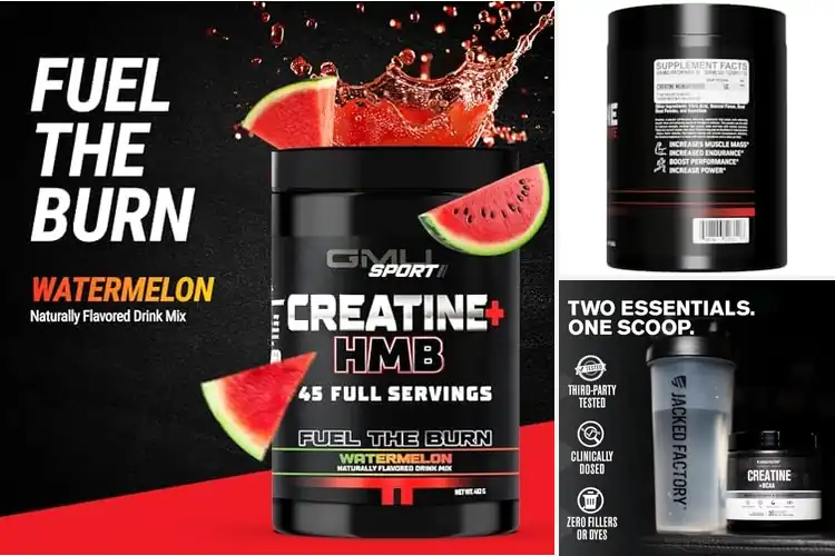 Detailed view of 10 Best Muscle Builders to Gain Strength and Boost Recovery
