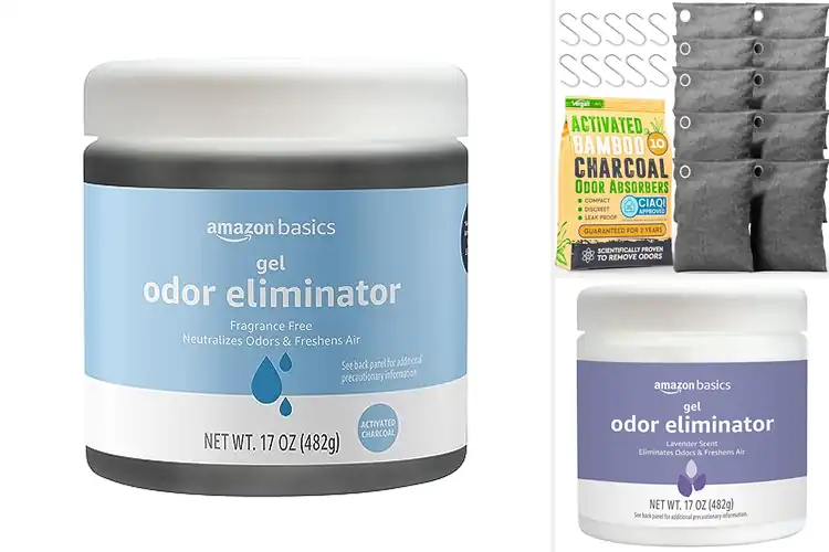 Detailed view of Best Odor Control Products