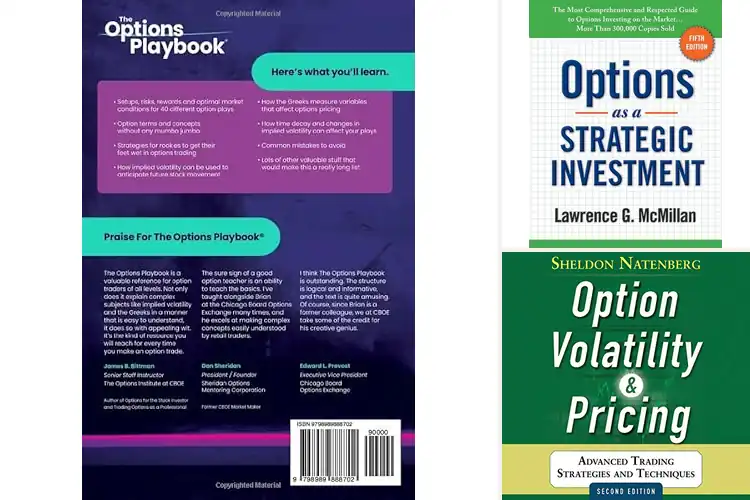 Detailed view of 10 Best Options: Master Trading for Easy Wins