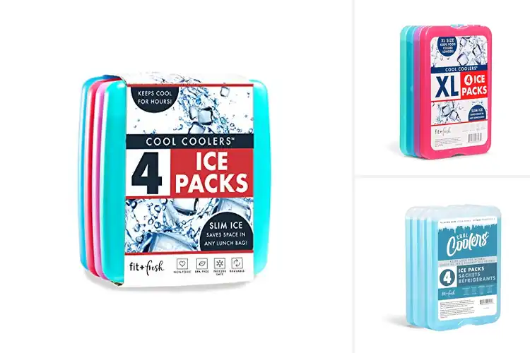 Detailed view of 10 Best Picnic Cooler Packs: Freeze Fast, Cool Longer