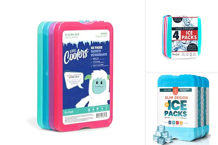 Detailed view of 10 Best Picnic Ice Packs for Fresh, Cool Meals Outdoors