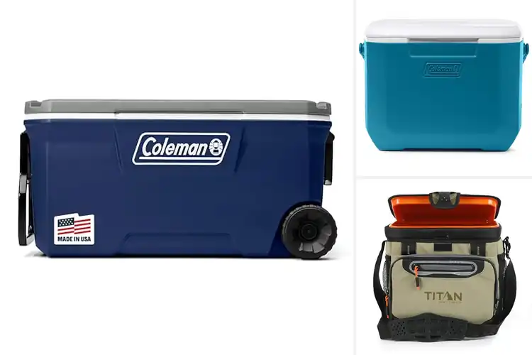 Detailed view of 10 Best Portable Coolers to Chill Your Trips