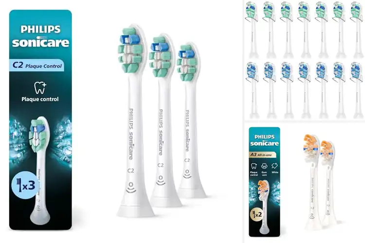 Detailed view of Best Removable Head Brushes