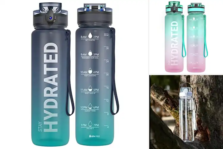 Detailed view of 10 Best School Hydration Bottles: Leakproof & Fun for Kids