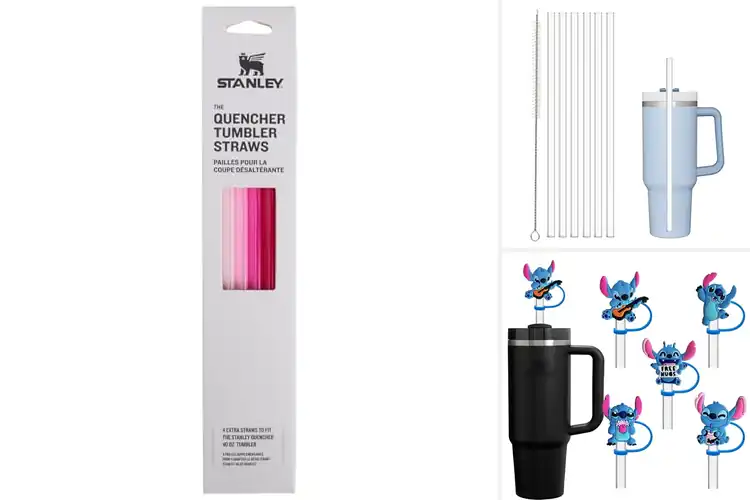 Detailed view of Best Stanley Tumbler Accessories