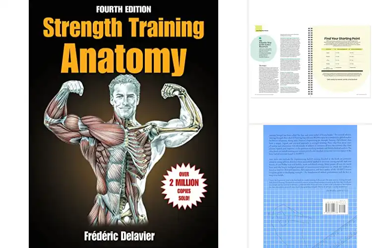 Detailed view of Best Strength Trainings: Build Muscle & Boost Health Fast
