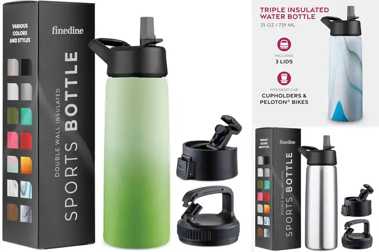 Detailed view of 10 Best Triple-Insulated Bottles: Stay Hydrated