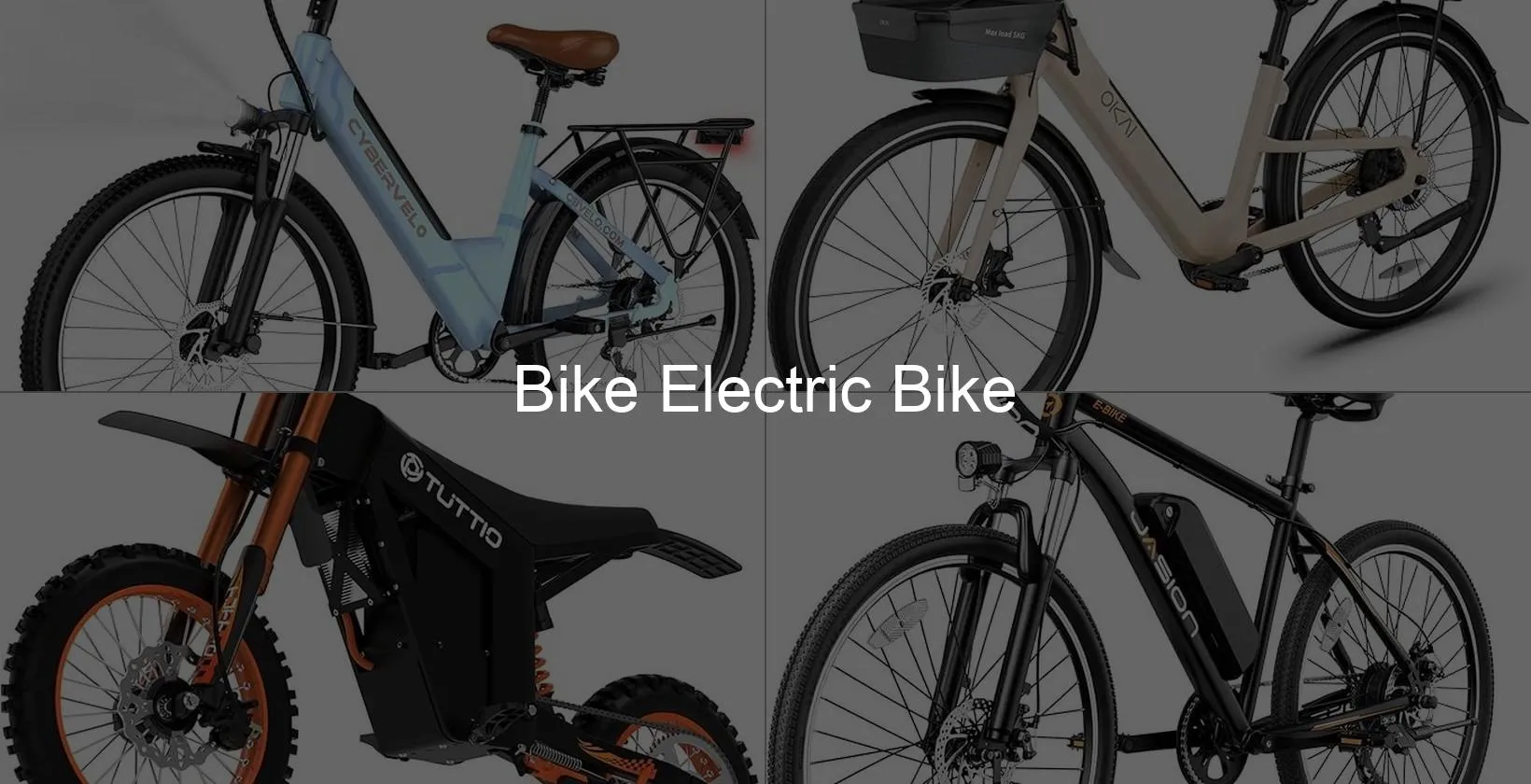 Photo of Bike Electric Bike