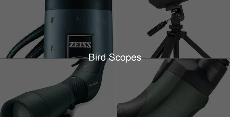 Photo of Bird Scopes