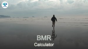 BMR Calculator: What You Need to Know