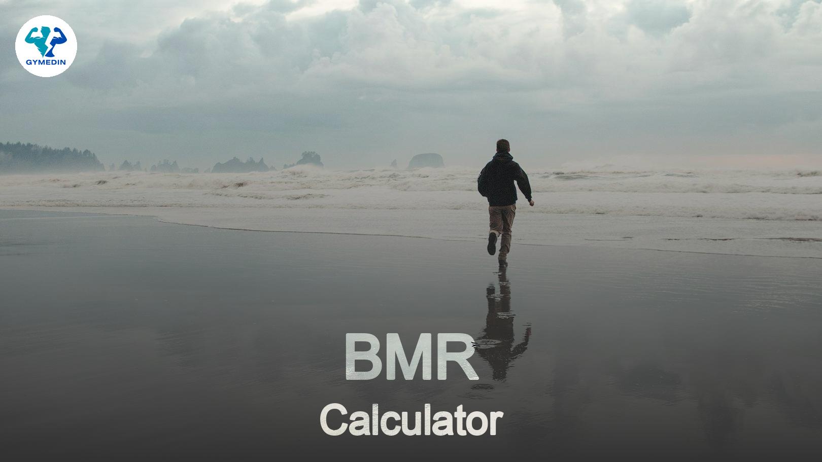BMR Calculator: What You Need to Know