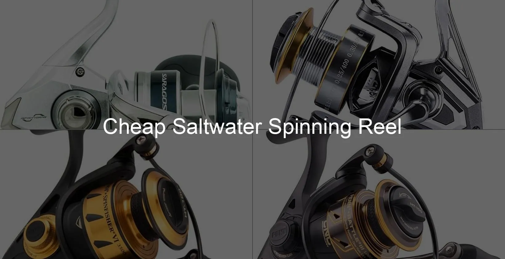 Photo of Cheap Saltwater Spinning Reel