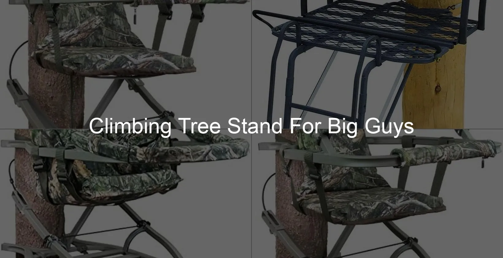 Photo of Climbing Tree Stand For Big Guys