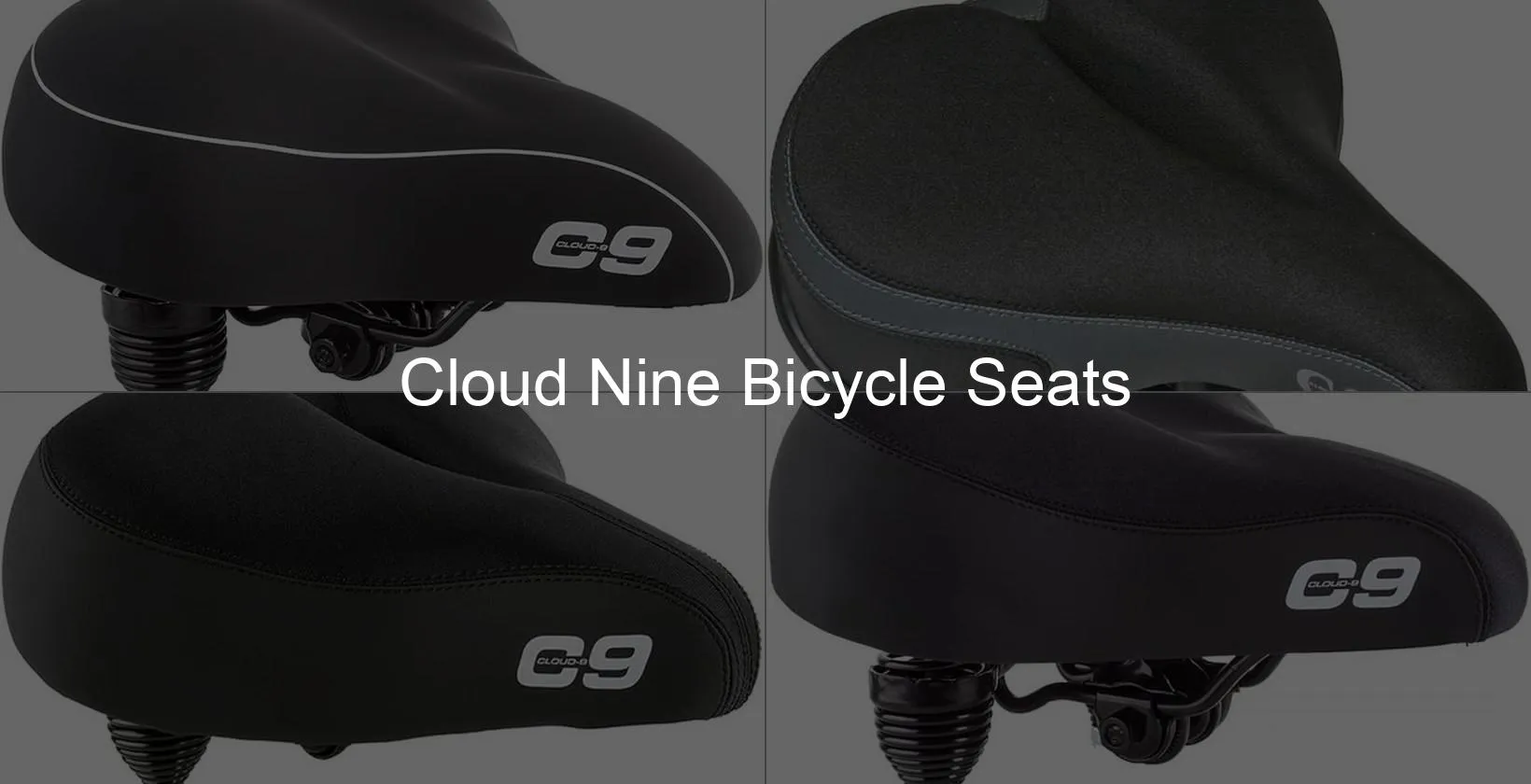 Photo of Cloud Nine Bicycle Seats