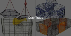 Photo of Crab Traps