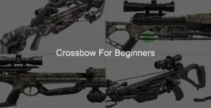 Photo of Crossbow For Beginners