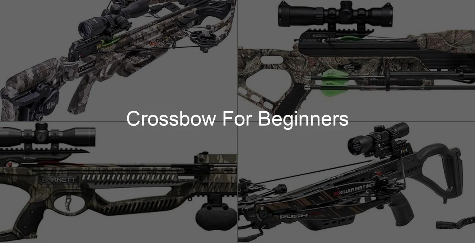 Photo of Crossbow For Beginners