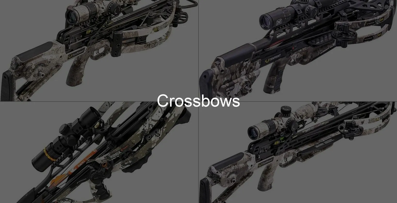 Photo of Crossbows