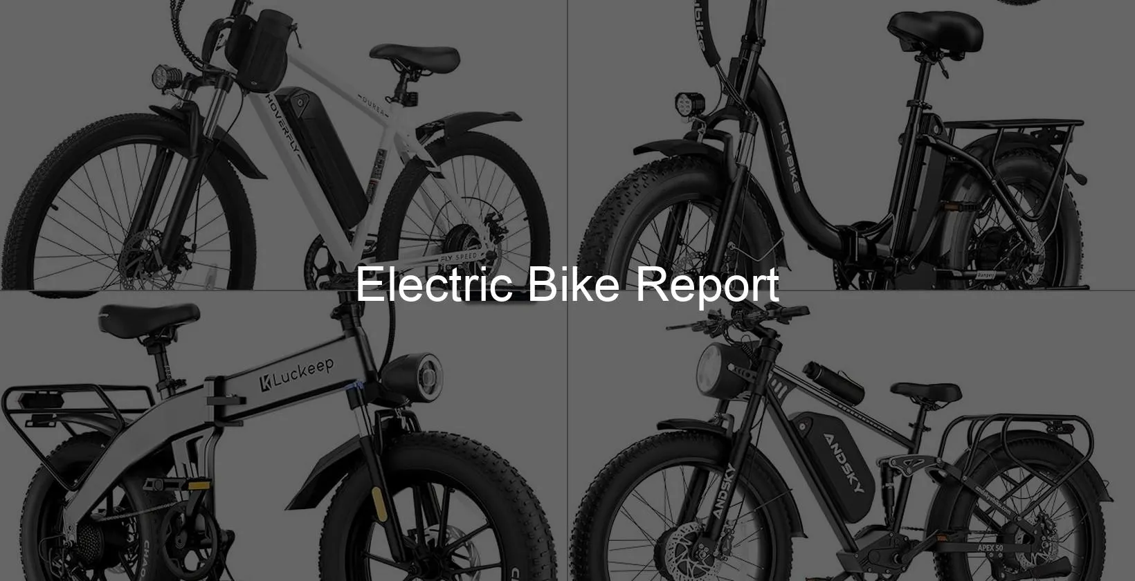 Photo of Electric Bike Report